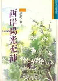 亦舒《西岸陽光充沛》林白出版封面