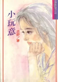 亦舒《小玩意》林白出版封面