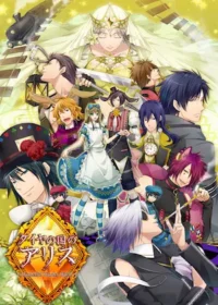 乙女遊戲《ダイヤの国のアリス～Wonderful Wonder World～》封面