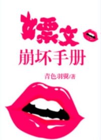 嫖文崩壞手冊