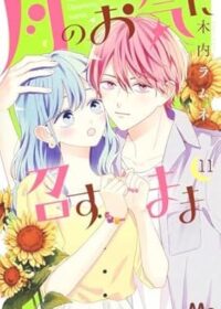 月のお気に召すまま 11