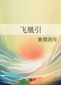 《飛凰引》晉江封面