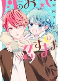 月のお気に召すまま 13