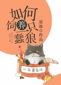辰冰《如何飼養一隻蠢狼》封面