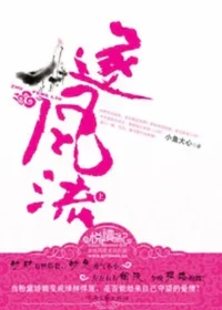 小魚大心《逐風流》封面