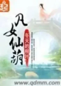 冬天的柳葉《凡女仙葫》封面