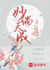 冬天的柳葉《妙偶天成》封面