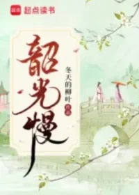 冬天的柳葉《韶光慢》封面