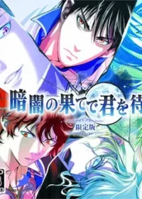 DS遊戲《暗闇の果てで君を待つ》封面