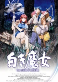 電玩遊戲《新英雄傳說III白髮魔女》封面