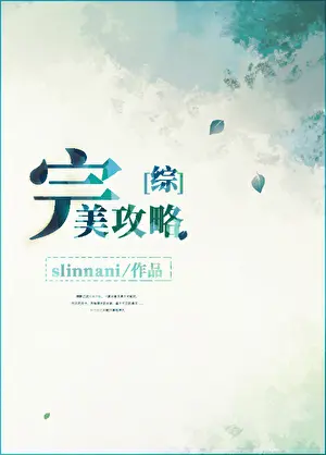 slinnani《[综]完美攻略》封面
