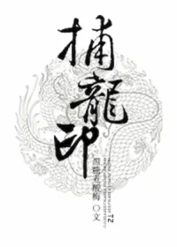 黑糖煮酸梅《捕龍印》封面