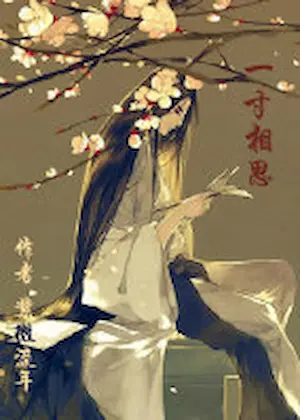 紫微流年《一寸相思》封面
