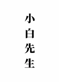 痴娘作品《小白先生》封面