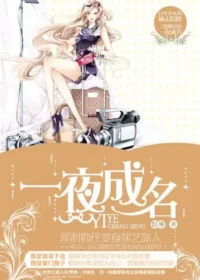 紅棗《一夜成名》封面