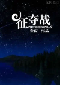金丙《爭奪戰》封面
