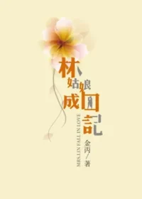 金丙《林姑娘成囚記》封面