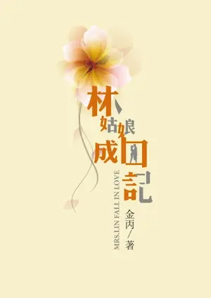 金丙《林姑娘成囚記》封面
