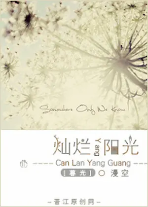 漫空《[暮光]燦爛陽光》封面