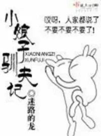 迷路的龍《小娘子馴夫記》封面