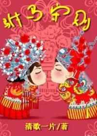 清歌一片《駙馬守則》封面