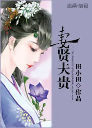 田小田《妻賢夫貴》封面