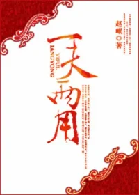 趙岷《一夫兩用》封面