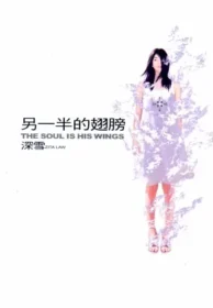 深雪小說《另一半的翅膀》皇冠文化出版封面