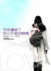 深雪小說《月夜遺留了死心不息的眼睛》皇冠文化出版封面