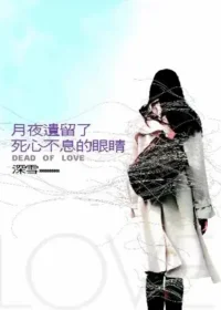 深雪小說《月夜遺留了死心不息的眼睛》皇冠文化出版封面
