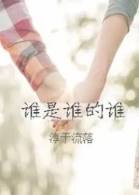 淳于流落《誰是誰的誰》封面