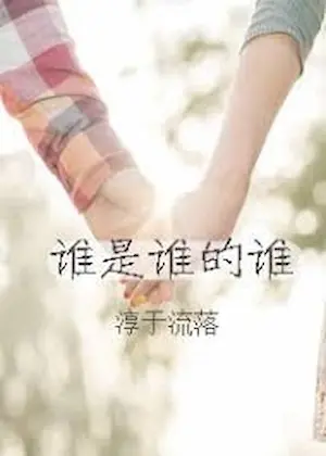 淳于流落《誰是誰的誰》封面