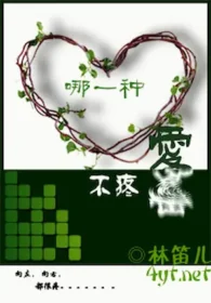 林笛兒《哪一種愛不疼》封面