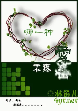 林笛兒《哪一種愛不疼》封面
