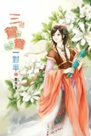 是今《三隻鴛鴦一對半》說頻文化出版上集封面