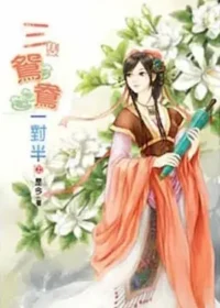 是今《三隻鴛鴦一對半》說頻文化出版上集封面