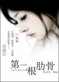 蘇遮目《第二根肋骨》封面