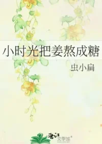 蟲小扁《小時光把姜熬成糖》封面