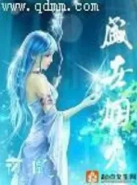 夜凰《盛世煙火》封面