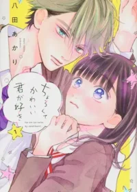 漫畫《ちょろくてかわいい君が好き》第一集封面