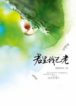 愛爬樹的魚《君生我已老》封面