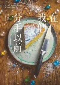 文善小說《在我們分手以前》封面