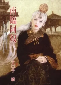 于晴《南臨阿奴》封面