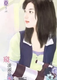 凌淑芬《窺》封面