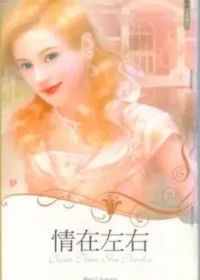 梅莉‧薩依爾《情在左右》封面