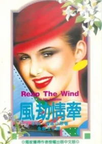 伊莉‧瓊森《風劫情牽》林白出版封面