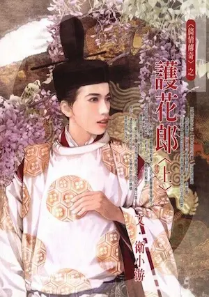 衛小游《護花郎》上冊封面