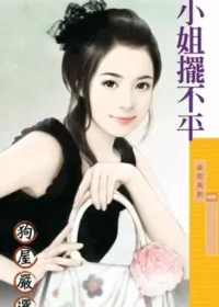 辛蕾《小姐擺不平》封面