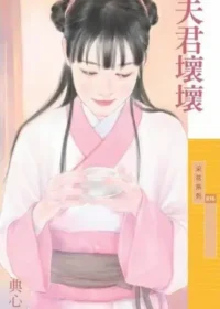 典心《夫君壞壞》封面