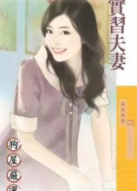 辛蕾《實習夫妻》封面